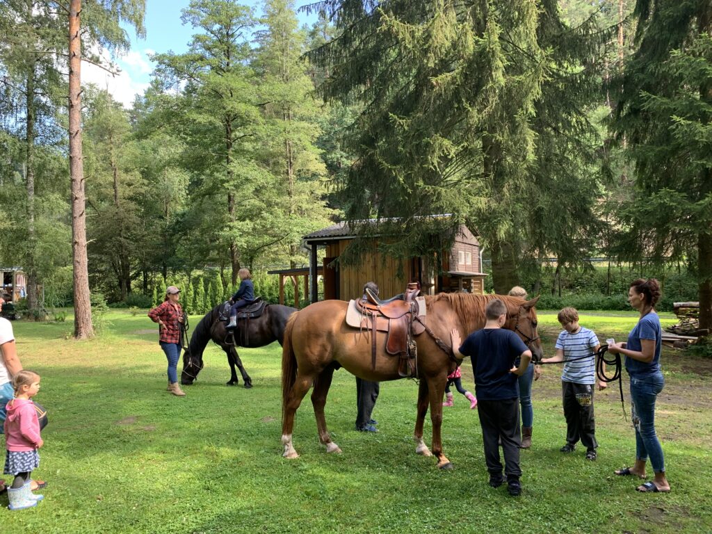 Zvířata, příroda, děti, kemping camping, stanování